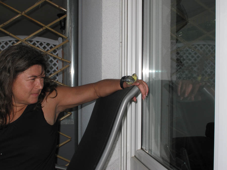 20090524-IMG_1199.jpg
