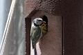 20090524-IMG_5861