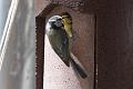20090524-IMG_5869