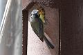 20090524-IMG_5870