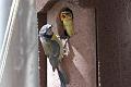 20090524-IMG_5891