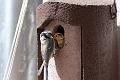 20090524-IMG_5908