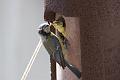 20090524-IMG_5998