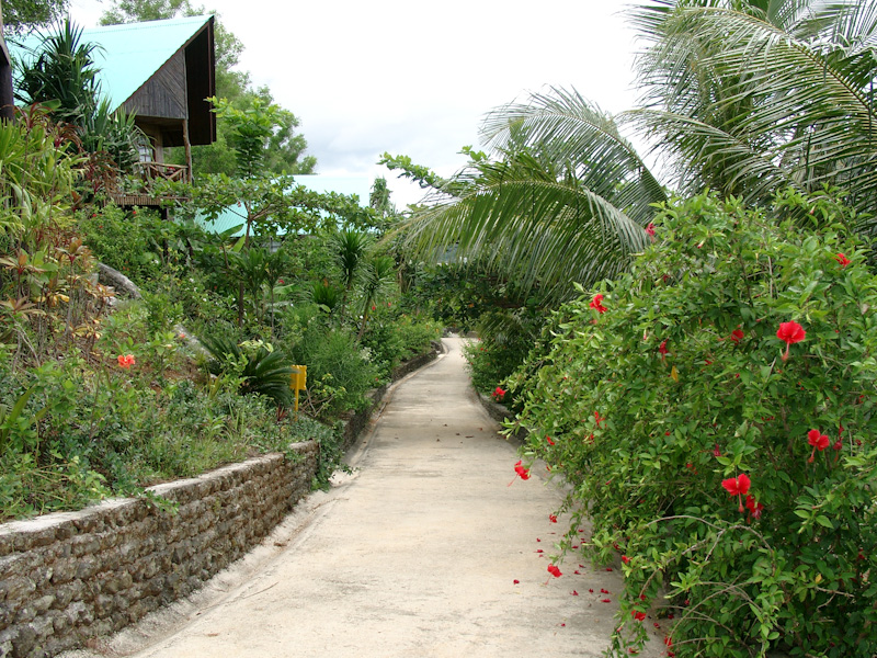 002.jpg - The Carolines