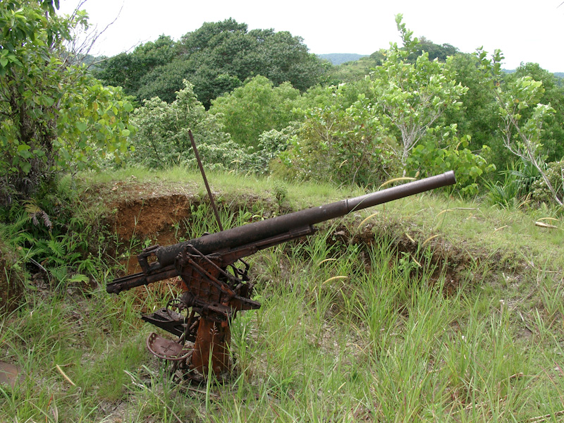 007.jpg - Japanisches Geschütz