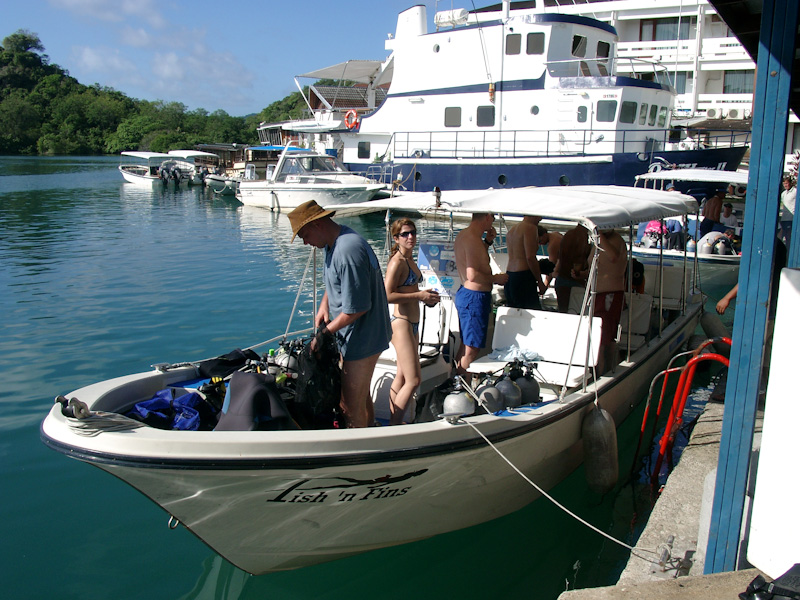 013.jpg - Fish 'n Fins Tauchbasis