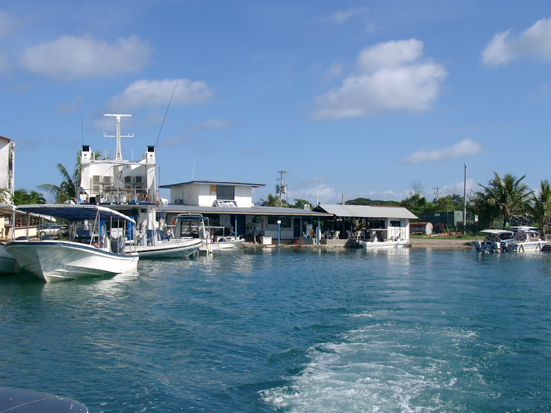 014.jpg - Fish 'n Fins Tauchbasis