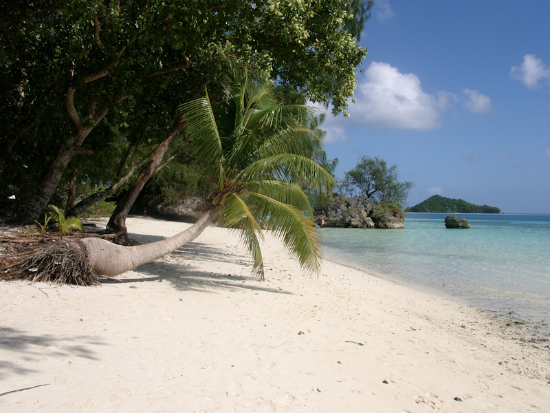 021.jpg - Mittagsrast