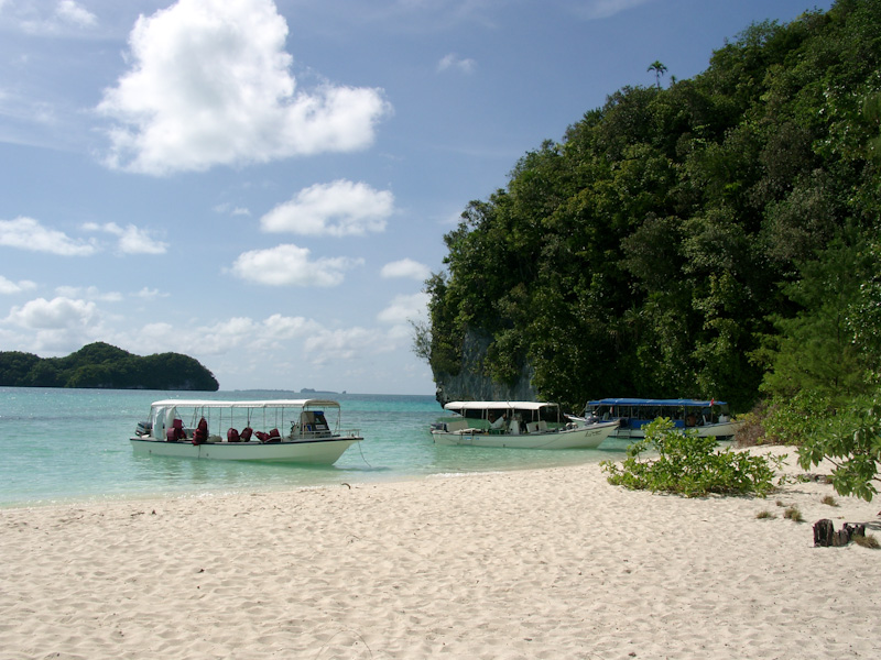 024.jpg - Mittagsrast