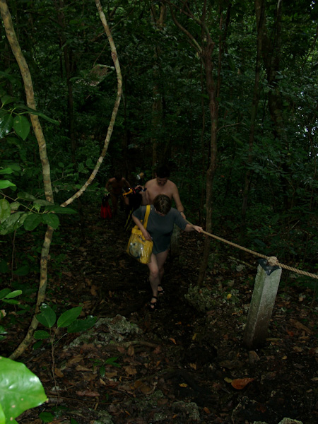 027.jpg - Jellyfish Lake