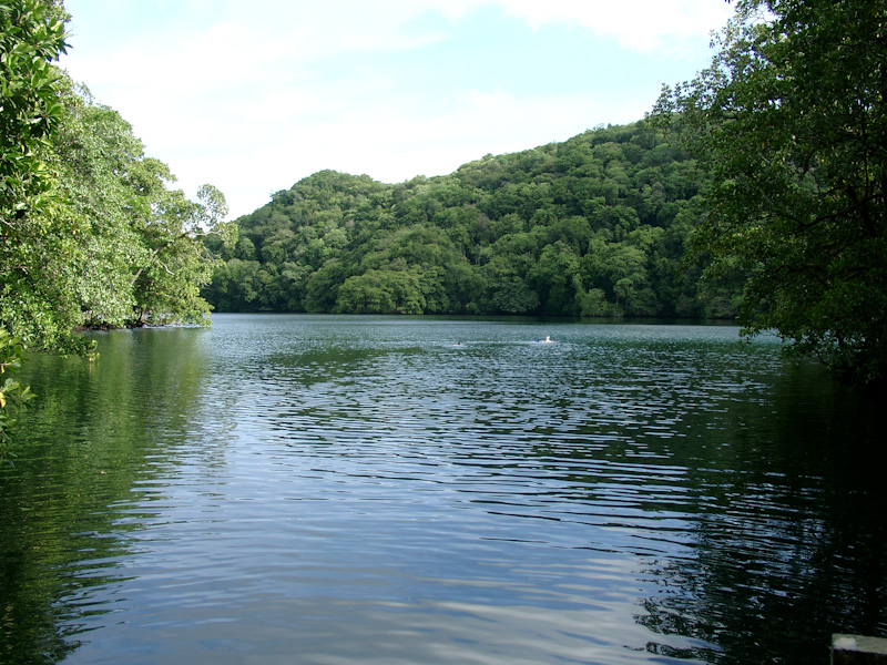 028.jpg - Jellyfish Lake